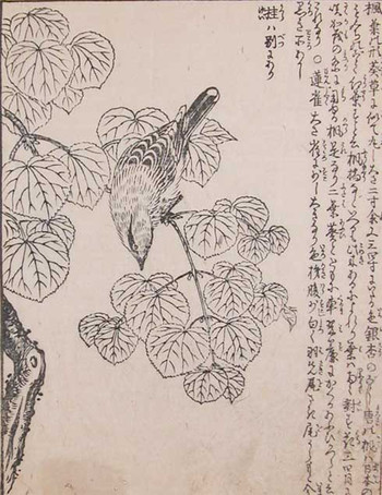 Bird on a Branch by Morikuni, Woodblock Print