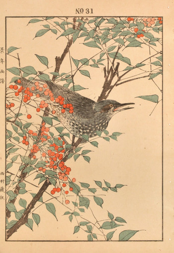 Browneared Bulbul and Nandina by Keinen, Woodblock Print