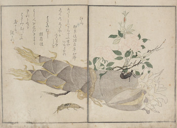 Mole Cricket and Earwig by Utamaro, Woodblock Print