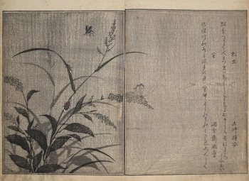 Tree Cricket and Firefly by Utamaro, Woodblock Print