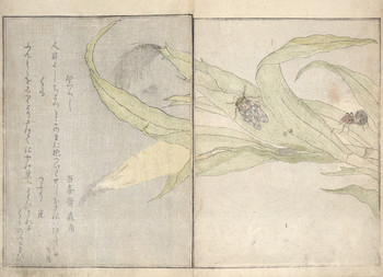 Evening Cicada and Spider by Utamaro, Woodblock Print