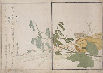 Coneheaded Grasshopper and Praying Mantis by Utamaro, Woodblock Print