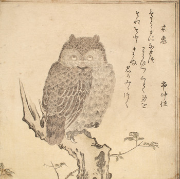 Scops Owl by Utamaro, Woodblock Print