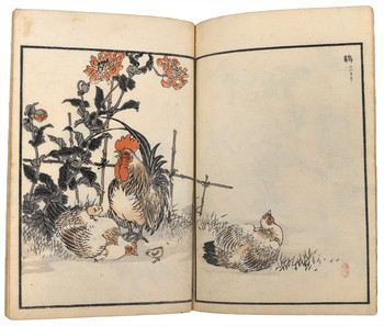 Bairei Album of One Hundred Birds (Bairei Hyakucho Gafu) [Complete Set] by Bairei, Ehon