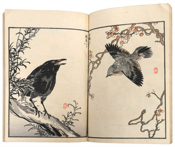 Bairei Album of One Hundred Birds (Bairei Hyakucho Gafu), Volume 3 by Bairei, Ehon