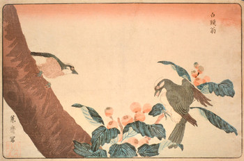 Two Gray Starlings by Masayoshi, Woodblock Print